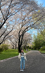 桜の画像(jkに関連した画像)