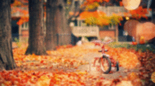 秋の画像(落ち葉に関連した画像)