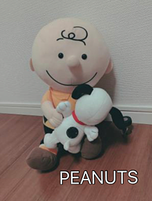 USJのぬいぐるみ🧸の画像(Peanutsに関連した画像)