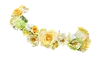 花冠 黄の画像(背景 花冠に関連した画像)