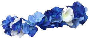 花冠 背景透過 青の画像7点 完全無料画像検索のプリ画像 Bygmo