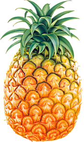 フルーツの画像(バナナ 背景に関連した画像)