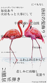 Flamingo/Lemon プリ画像