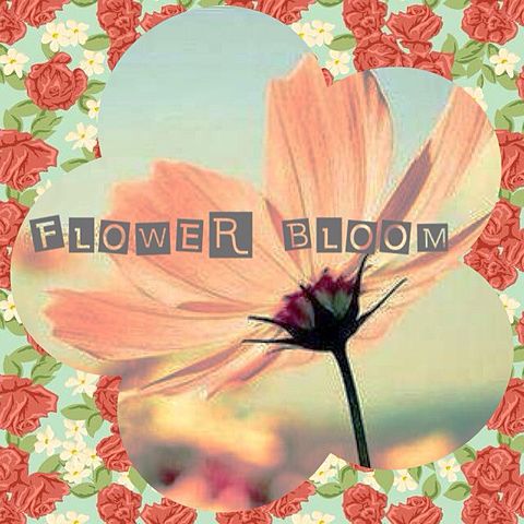 FLOWER BLOOMの画像 プリ画像