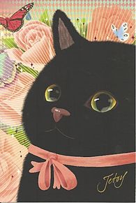 韓国 猫 キャラクターの画像点 3ページ目 完全無料画像検索のプリ画像 Bygmo