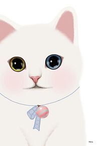 猫 Choochooの画像127点 完全無料画像検索のプリ画像 Bygmo