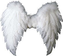 天使 羽の画像876点 15ページ目 完全無料画像検索のプリ画像 Bygmo