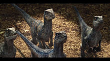 恐竜の画像1616点 42ページ目 完全無料画像検索のプリ画像 Bygmo