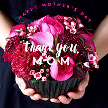 ママ、ありがとう 母の日花 おしゃれの画像(母の日に関連した画像)