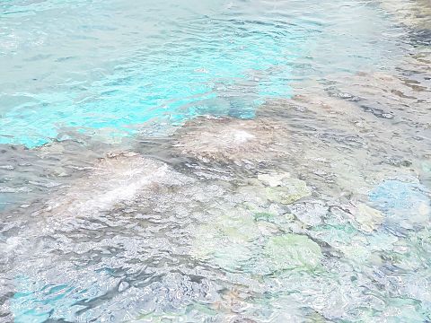 海 珊瑚 夏の画像 プリ画像