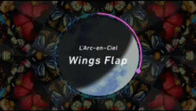Wings Flapの画像(ラルクに関連した画像)