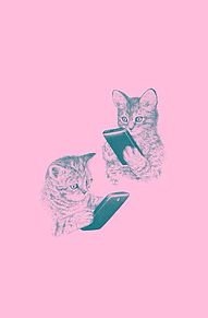 ピンク 可愛い 壁紙 猫の画像29点 完全無料画像検索のプリ画像 Bygmo