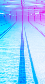 女子 水泳の画像16点 完全無料画像検索のプリ画像 Bygmo