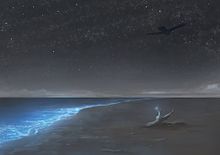 星の降る浜辺 プリ画像