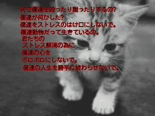 動物虐待〜訴えたい事シリーズ3〜の画像 プリ画像