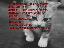 動物虐待〜訴えたい事シリーズ3〜の画像(動物虐待に関連した画像)