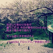 宇多田ヒカル歌詞画／SAKURAドロップスの画像(sakuraドロップス 歌詞に関連した画像)
