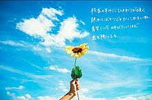 SUMMER SONG YUIの画像(summer summer songに関連した画像)