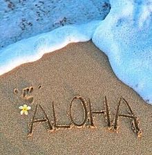 Aloha オシャレの画像15点 完全無料画像検索のプリ画像 Bygmo