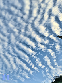 初夏のイワシ雲     (実写)の画像(夏に関連した画像)