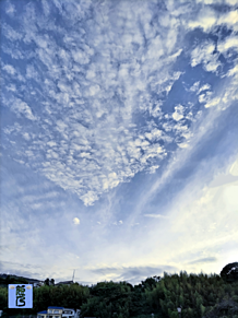 初夏のイワシ雲     (実写)の画像(夏に関連した画像)