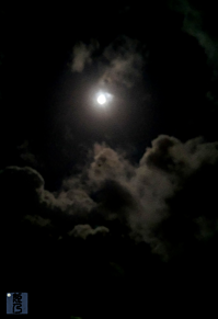 中秋の名月🌕       (実写)の画像(名月に関連した画像)