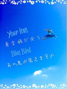 BlueBirdの画像(コブクロ歌詞画に関連した画像)