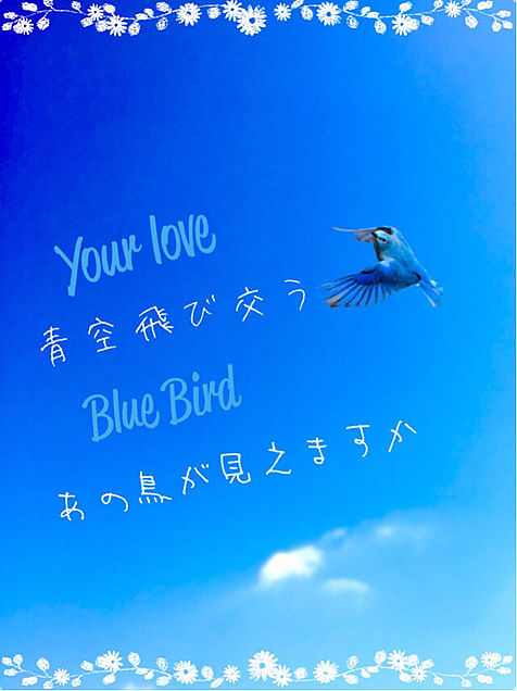 BlueBirdの画像(プリ画像)