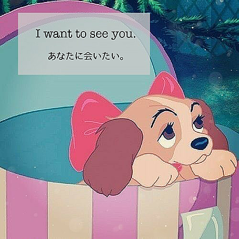 I want tosee you.の画像 プリ画像