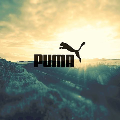 pumaの画像(プリ画像)