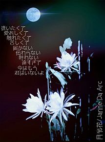 月光花/Janne Da Arcの画像(ジャンヌダルク 月光花 歌詞に関連した画像)