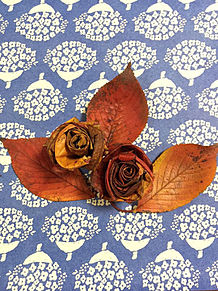 落ち葉のバラ  紅葉  花の画像(落ち葉に関連した画像)