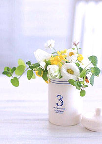 白い花瓶の花 おしゃれの画像(プリ画像)