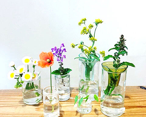 透明ガラスの花々 おしゃれの画像 プリ画像