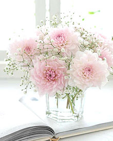 淡いピンクの花 おしゃれの画像(淡いピンクに関連した画像)