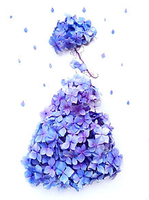 75 紫陽花 おしゃれ 壁紙 最高の花の画像