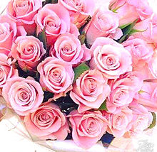 バラ ピンク 花束の画像38点 完全無料画像検索のプリ画像 Bygmo