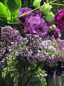 フラワーショップ第一園芸の美しい花  いいねを押してねの画像(園芸に関連した画像)