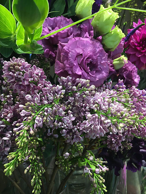 フラワーショップ第一園芸の美しい花  いいねを押してねの画像 プリ画像