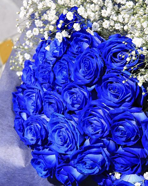 青いバラの花束  写真右下のハートを押してねの画像 プリ画像