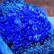 青いバラの花束  写真右下のハートを押してねの画像(青いバラに関連した画像)