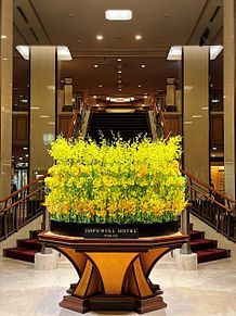 帝国ホテル  東京  装花  写真右下のハートを押してねの画像(ホテル 東京に関連した画像)