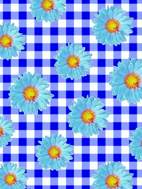 花柄 チェック 青色 ブルーの画像 プリ画像