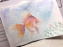 水彩色鉛筆の画像(金魚 イラストに関連した画像)