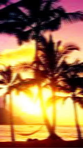 ハワイ 夕日の画像117点 完全無料画像検索のプリ画像 Bygmo