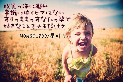 mongol800の画像(プリ画像)