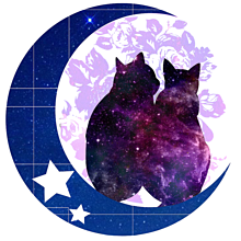 宇宙柄 猫の画像306点 完全無料画像検索のプリ画像 Bygmo