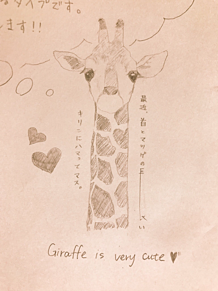 きりんの画像(Giraffeに関連した画像)