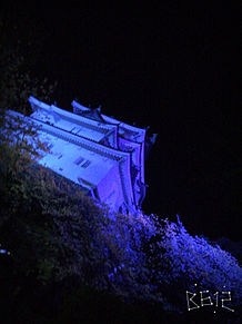 和歌山城の画像(和歌に関連した画像)