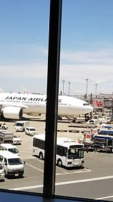 羽田空港で撮った飛行機の写真の画像(羽田空港に関連した画像)
